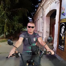 �������, 38 ���, �����