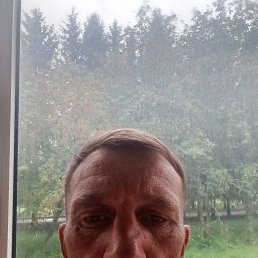 , 44, 