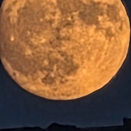 ����, ������, 33 ����