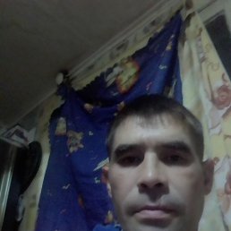 , 36, 