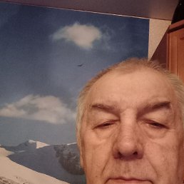 �����, 68 ���, ���������