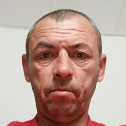 ������, ���������, 45 ���