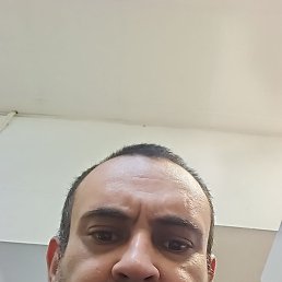 �����, 38 ���, �����-���������