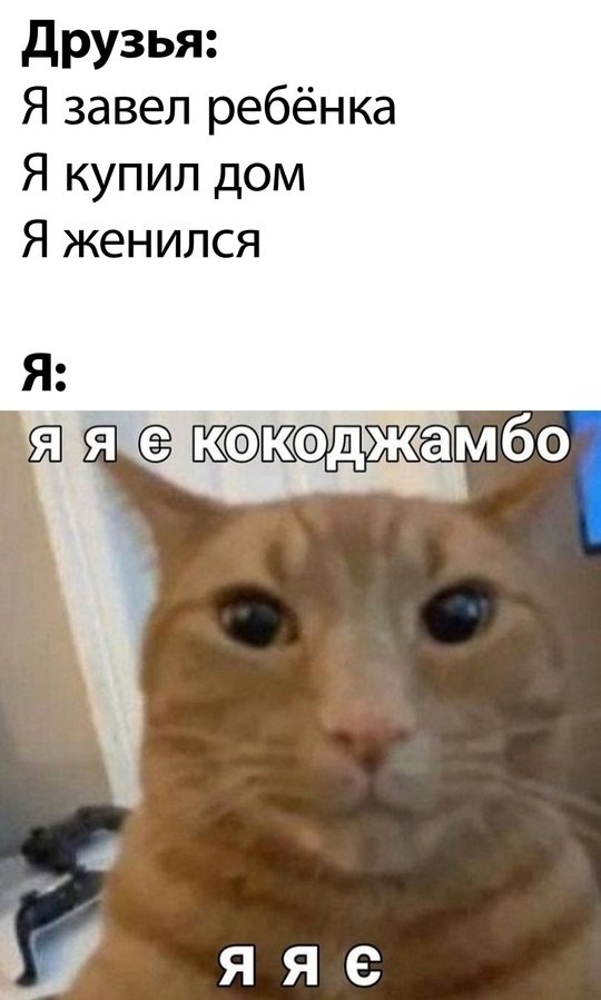  - 29  2025  18:58