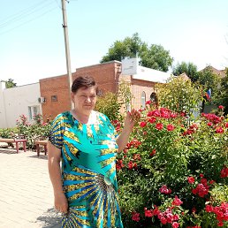 ���� ����, ������-��-����, 59 ��� - ��������� 10 ������� 2026