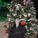 ���� �����, ������������ - ��������� 1 ������ 2026