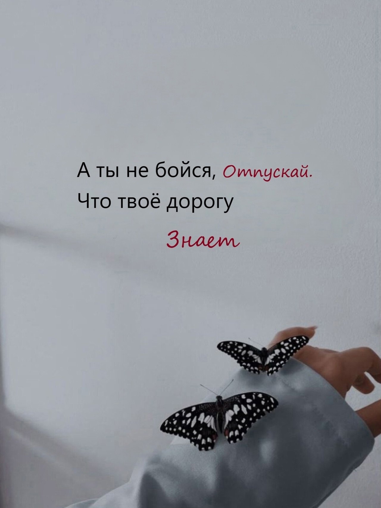  - 26  2025  15:55
