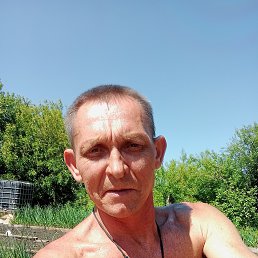 , 51, 