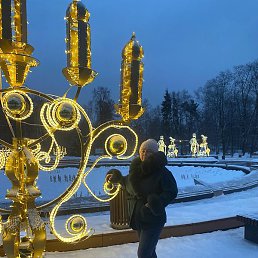 �����, ������, 49 ���