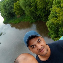 , 34, 