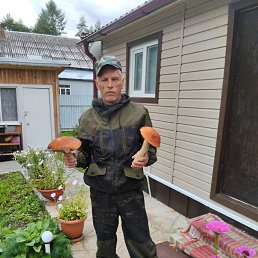, 54 , 