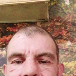 , 39 , 