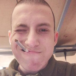 ���� �����, ������, 22 ���� - ��������� 8 ��� 2026