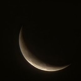 ����, ������, 36 ���