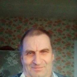 , 61 , 