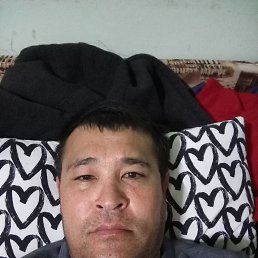 ����, 38 ���, �����-���������