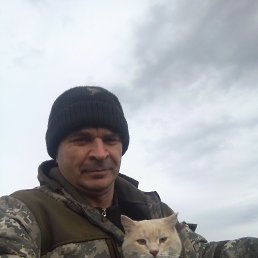 , 50, 