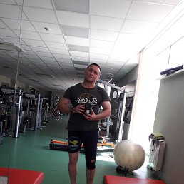, 53 , 