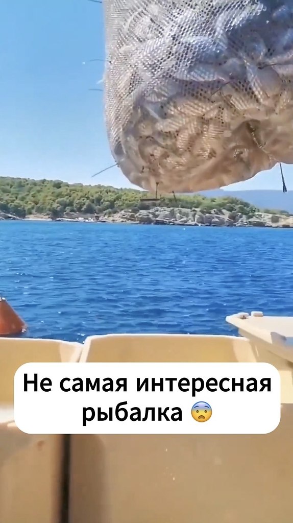   . - 2