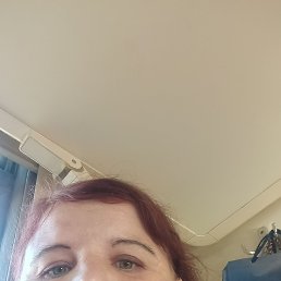  , 40 , 