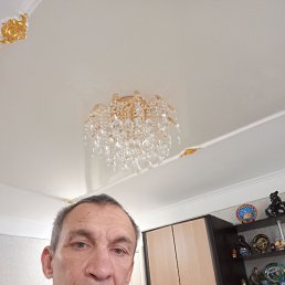 , 52, 