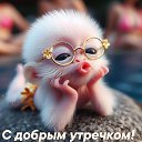 ���� ������, ������, 37 ��� - ��������� 11 ������� 2026 � ������ ���� ����������