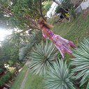 ���� ���, ���������� - ��������� 20 ������ 2026 � ������ ���� ����������