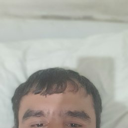 , 41, 