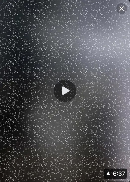 Катастрофа в Крыму: подростки угнали машину у родителей и погибли, будучи пьяными.Всего несколько ... - 3