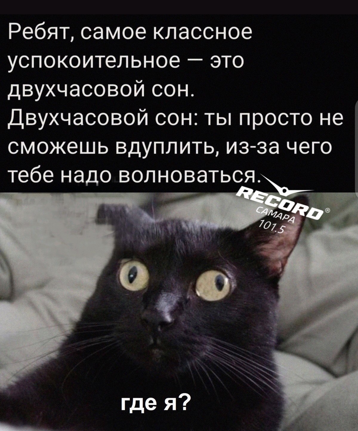  !  )))    !           ...