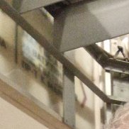 , 50 , 
