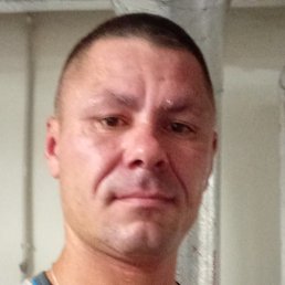 �����, ������, 38 ���