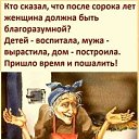 ���� ������, �������� - ��������� 1 ������� 2026 � ������ ������ ��������