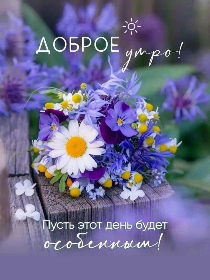   ,    . - 22  2024  23:54