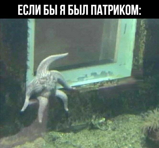    - 12  2023  00:26