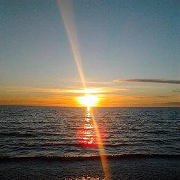 White, �����������, 39 ���