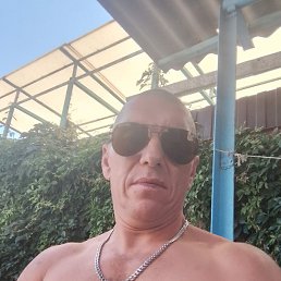 ���������, ������������, 46 ���