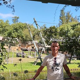 ������, �����, 35 ���