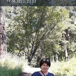 ���� �������, ������ - ��������� 5 ��� 2024