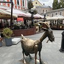  Miracle, - -  26  2025    