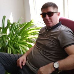 ���� ���������, ���������, 37 ��� - ��������� 25 ������� 2026