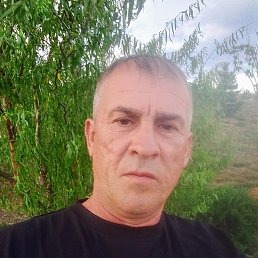  , 53 , --