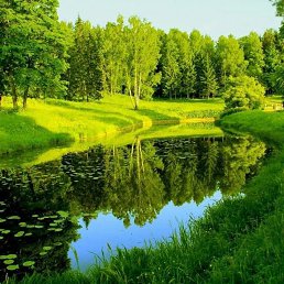 ���� �������, ������ - ��������� 26 ���� 2025