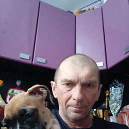 , 53 , 