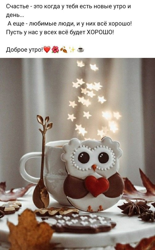   - 8  2023  08:19