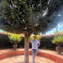 ������, �����, 57 ���