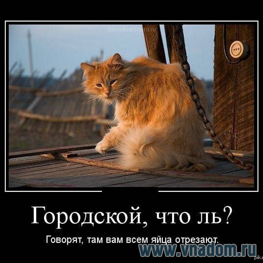   - 1  2024  18:51