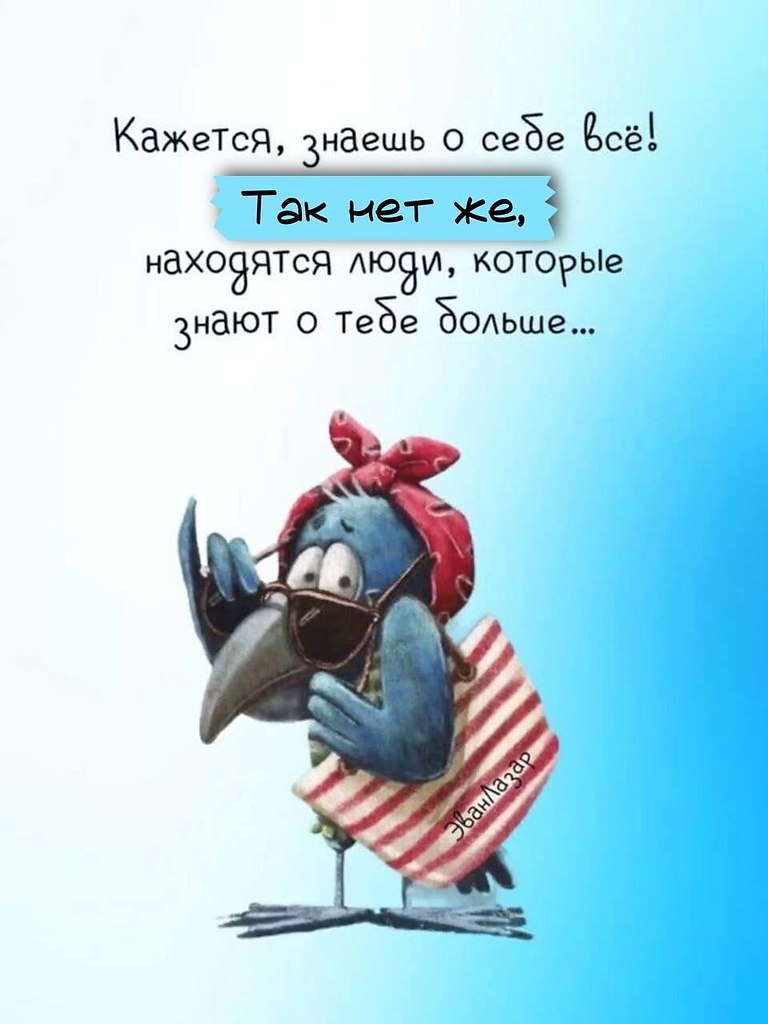   - 31  2025  11:11