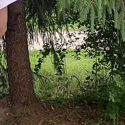 , 39 , 