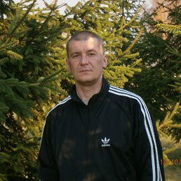 , 44, 